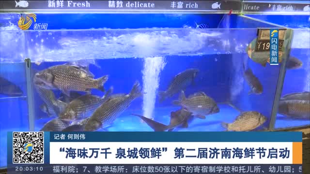 â€œæµ·å‘³ä¸‡åƒ æ³‰åŸŽé¢†é²œâ€ç¬¬äºŒå±ŠæµŽå—æµ·é²œèŠ‚å¯åŠ¨