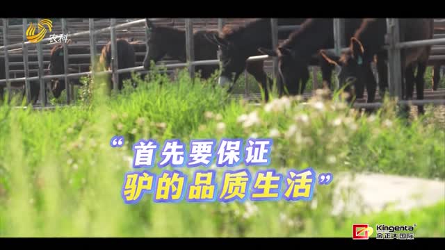 ä¸œé˜¿é©´çš„â€œå“è´¨ç”Ÿæ´»â€