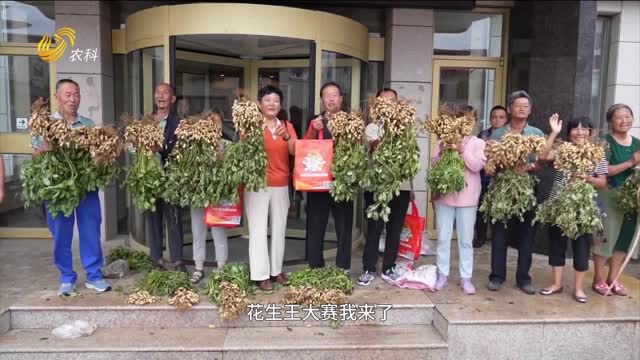 ã€â€œä¸‰åªè™Žæ¯â€ä¸­å›½èŠ±ç”ŸçŽ‹å¤§èµ›ã€‘å½“èŽ±é˜³èŠ±ç”Ÿé‡åˆ°â€œä¸‰åªè™Žâ€ æžœå¤§ç²’æ»¡æƒŠå–œå¤š