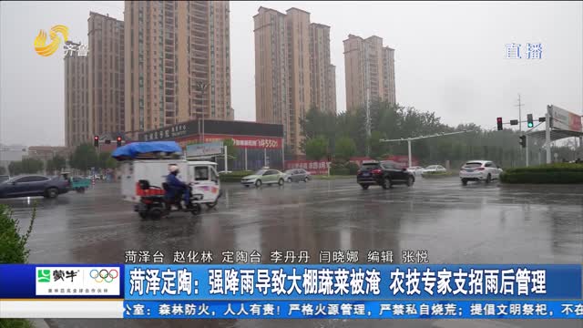 èæ³½å®šé™¶ï¼šå¼ºé™é›¨å¯¼è‡´å¤§æ£šè”¬èœè¢«æ·¹ å†œæŠ€ä¸“å®¶æ”¯æ‹›é›¨åŽç®¡ç†