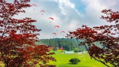 æ­¦éš†ä»™å¥³å±±é£žè¡ŒèŠ‚ã€äººå® éŸ³ä¹èŠ‚ã€é©¬æˆå¤§ç§€â€¦â€¦æƒŠè‰³ç™»åœº