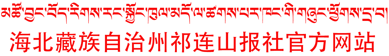 今日藏乡