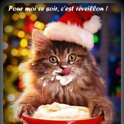 bonne annee 2013