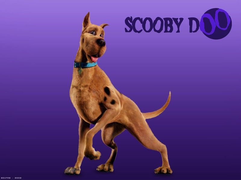 CScouby-Doo.jpg