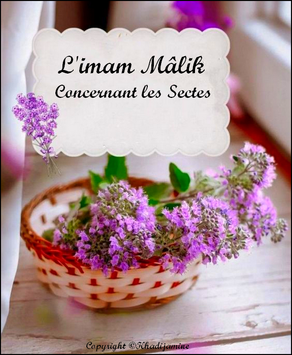 L'imam Mâlik - Concernant les Sectes