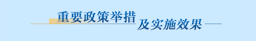 é‡è¦æ”¿ç­–ä¸¾æŽªåŠå®žæ–½æ•ˆæžœ