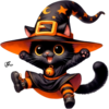 Tubes Halloween - animaux CHAT PNG