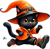 Tubes Halloween - animaux CHAT PNG