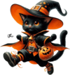 Tubes Halloween - animaux CHAT PNG