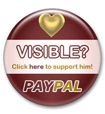 Click the button to donate to vis via Paypal