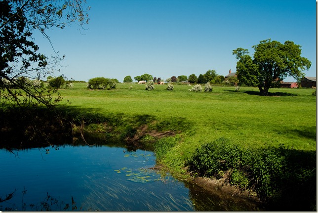 countryside scene at maze world-1