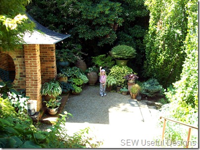 Cloudehill Rosie among plants