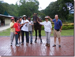 volunteers & horse