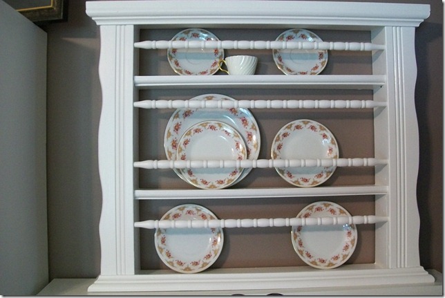 100plate rack_8044