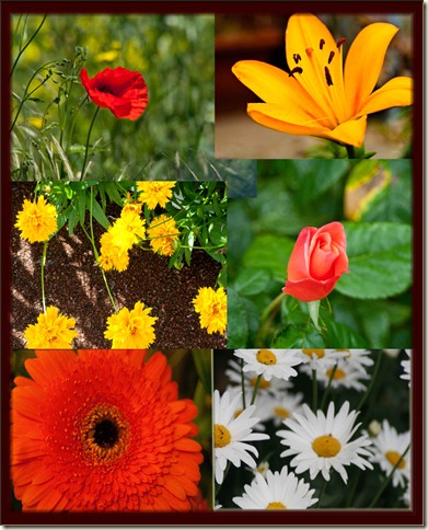 flower collage