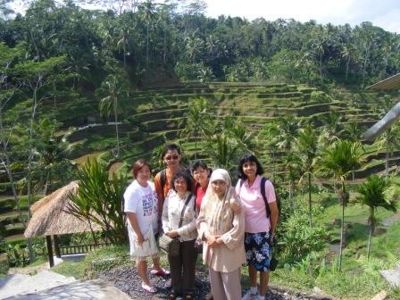 rice terrace