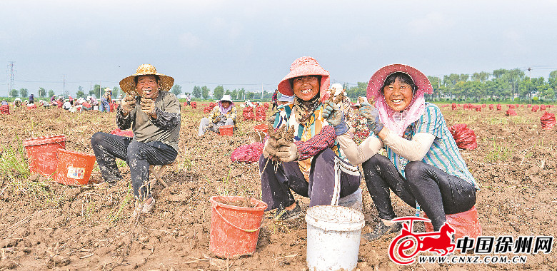 ä¸­è‰è¯äº§ä¸šæ‹“å®½å†œæ°‘è‡´å¯Œè·¯