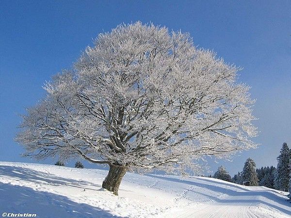 Le 5 décembre Le 6 décembre Le 7 décembre