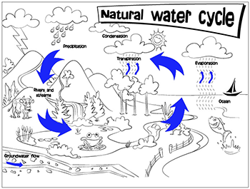 Water Cycle