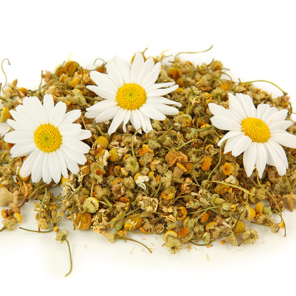 Chamomile