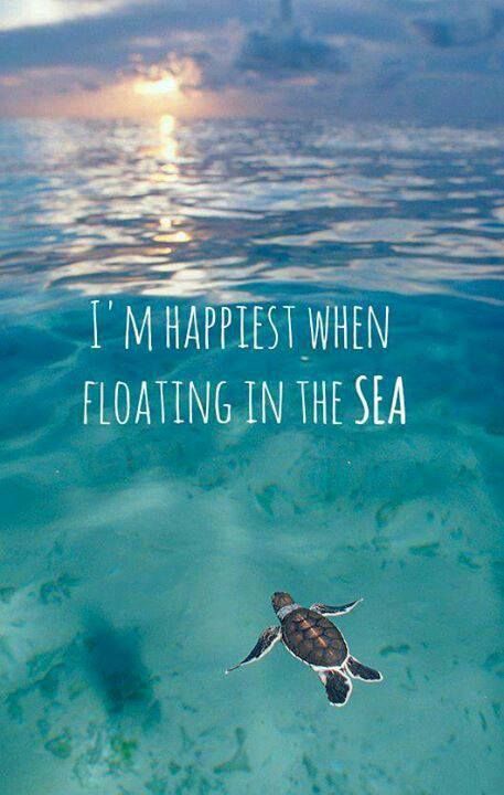 I love this.....just relaxing in the sea - great invitation to vacation in Key West and the keys. - web source -MReno