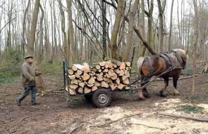 Ove godine dodijelit Ä‡e se 11 milijuna bespovratnih kuna za razvoj poljoprivrede, ruralnog razvitka, Å¡umarstva i ribarstva