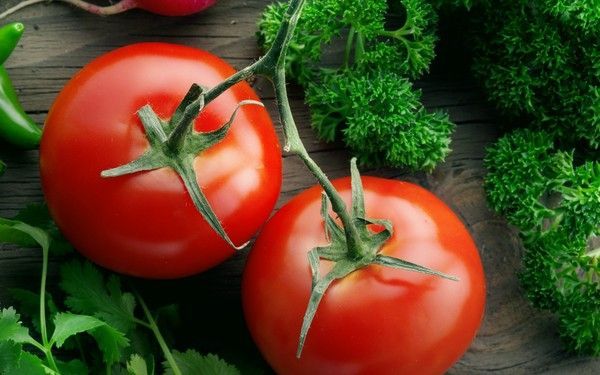 Tomates : fond d'écran - Tomatoes desktop wallpaper