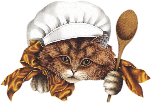 Chat chef cuisinier