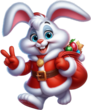 ❄️ Animal, Noël, lapin png . Christmas rabbit png ❄️