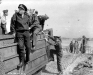 Normandy 1944 Collection 473