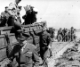 Normandy 1944 Collection 477