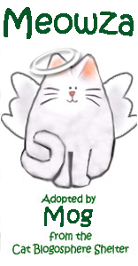 I adopted a virtual Squillion from the Cat Blogosphere!