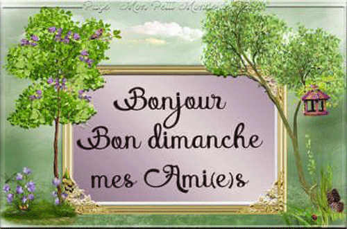 bonjour-message-bon-dimanche-a-tous-belle-image_1