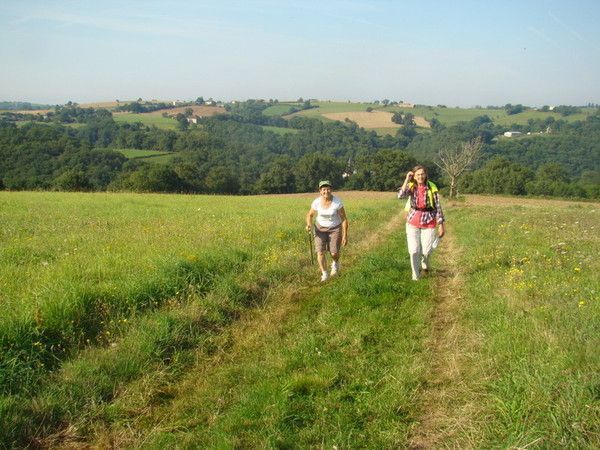 Fête d'été 2014 : la randonnée pédestre (3)