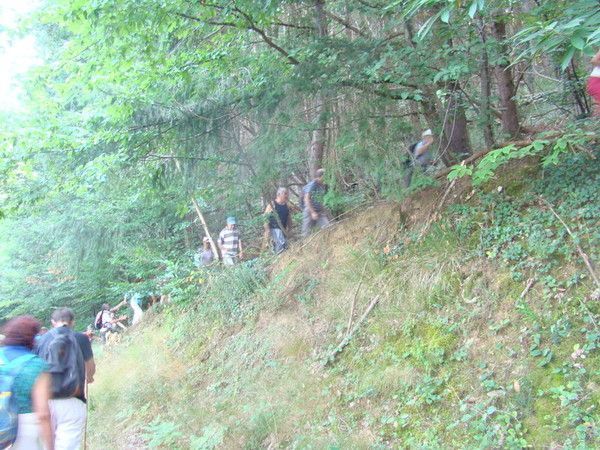 Fête d'été 2014 : la randonnée pédestre (4)