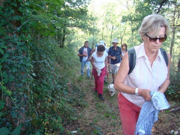 Fête d'été 2014 : la randonnée pédestre (2)