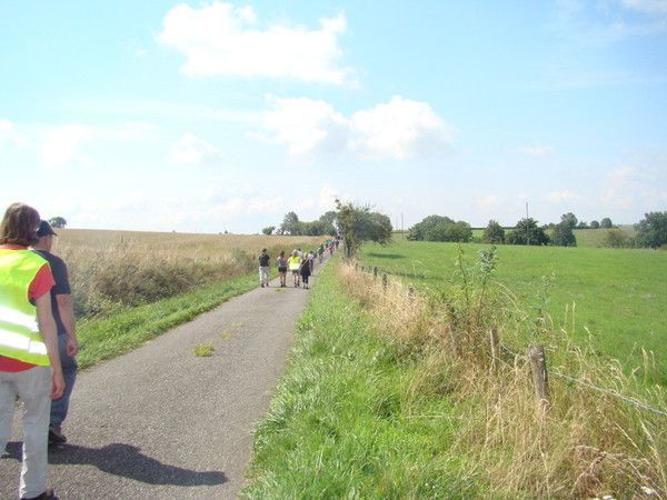 Fête d'été 2014 : la randonnée pédestre (7)