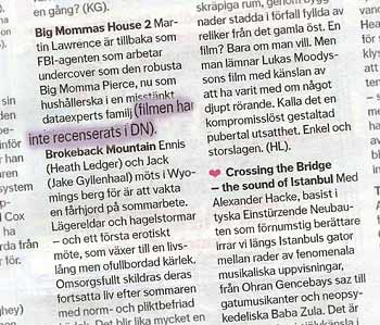 Faksimil frÃ¥n sammanfattningen av filmer i DN PÃ¥ stan. &lsquo;Crossing the Bridge - the sound of Istanbul&rsquo; har ett rosa hjÃ¤rta bredvid sig medan en kort beskrivning av &lsquo;Big Mommas House 2&rsquo; fÃ¶ljs av parentesen &lsquo;filmen har inte recenserats i DN&rsquo;