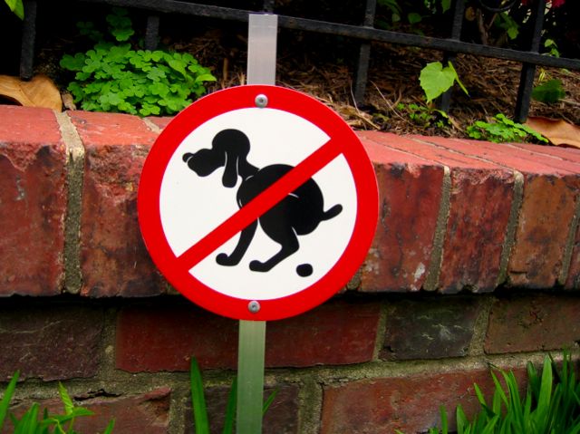 Another graphic message for dog owners in the DC metro area.