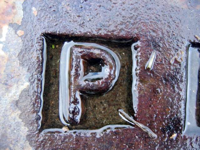 The P in the Pepco on a manhole cover.