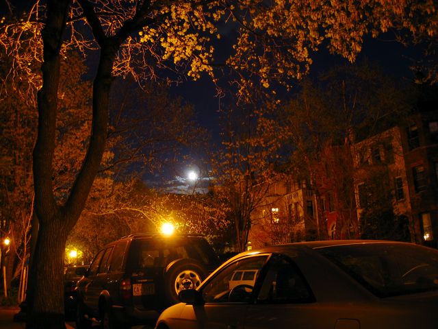 Last week's full moon hangs low over a string of rowhouses in Adams Morgan.