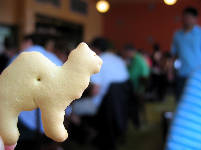 An animal cracker at Open City in Woodley Park