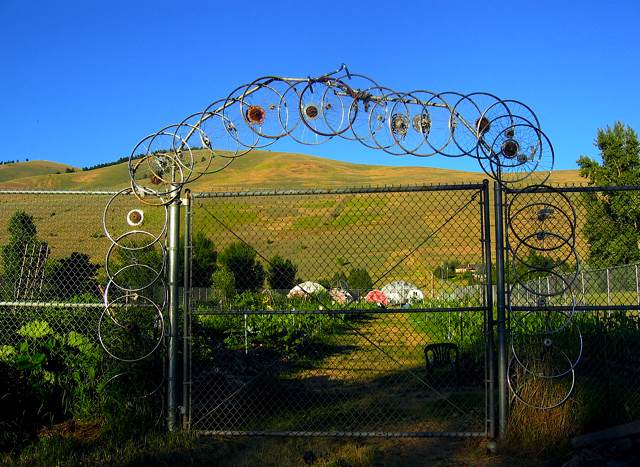 The community gardens of the Associated Students of the University of Montana.