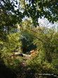 La passerelle  sous les feuilles