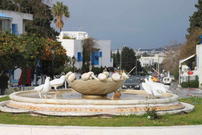 tunis2011_0103r.jpg