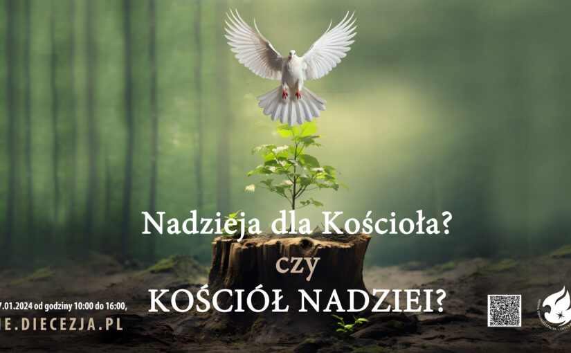 Skuteczna Ewangelizacja – Nadzieja dla Kościoła czy Kościół Nadziei?