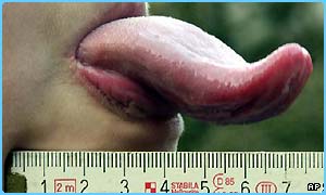 Tongue and ruler