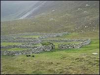 St Kilda peat bog, Meharg