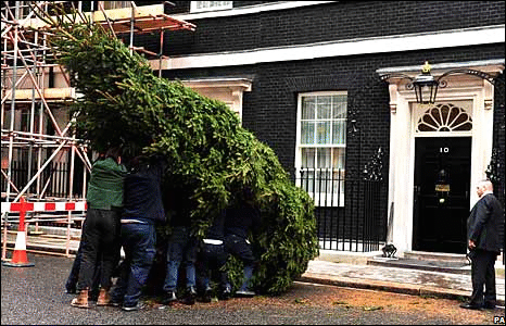 Christmas tree outside 10 Downing Street, London