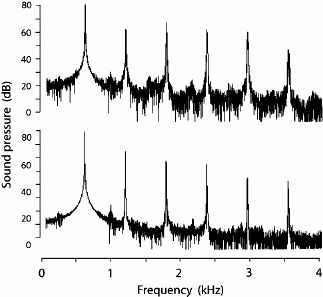 spectra of a clarinet and flute playing D5